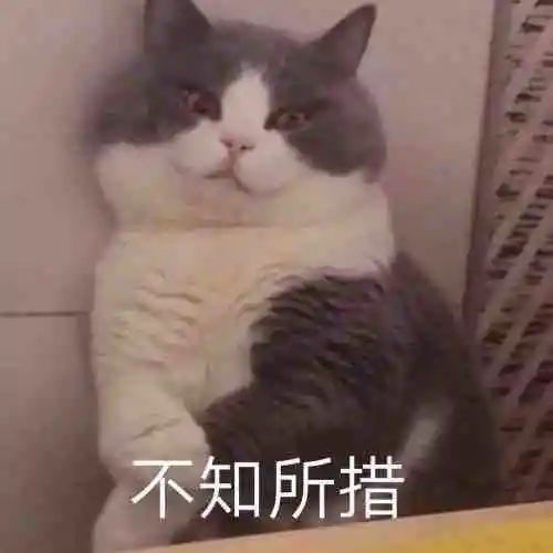 DƬ